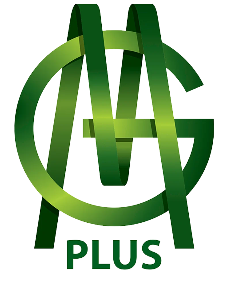 Max Group Plus
